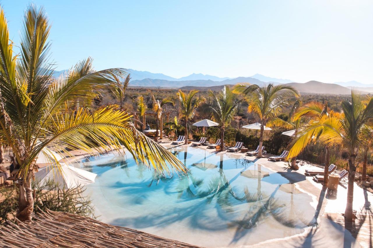 Baja Nomads Hotel - Adults 15 Plus Тодос Сантос Екстериор снимка